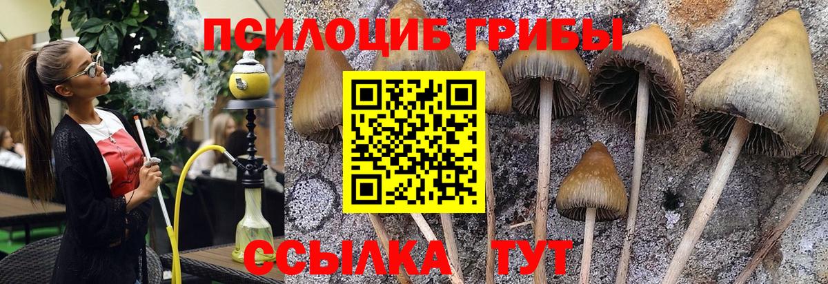 Галлюциногенные грибы GOLDEN TEACHER Краснознаменск